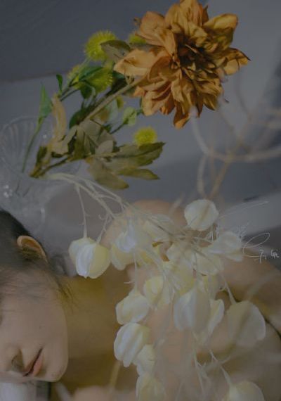 《宁安如梦》电视剧