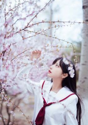 你的婚礼 在线观看免费